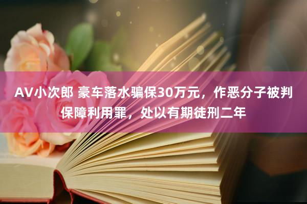 AV小次郎 豪车落水骗保30万元，作恶分子被判保障利用罪，处以有期徒刑二年