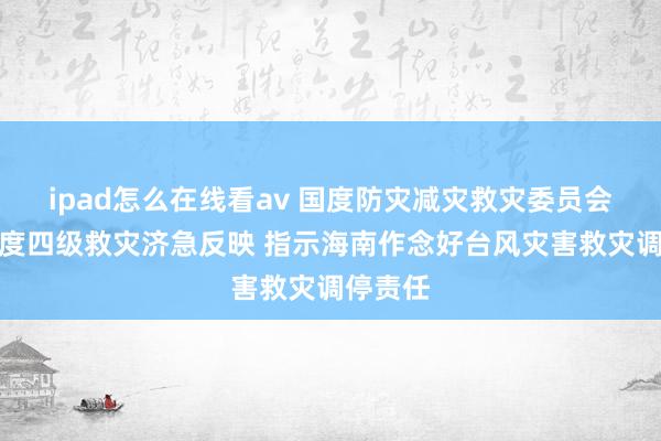 ipad怎么在线看av 国度防灾减灾救灾委员会开头国度四级救灾济急反映 指示海南作念好台风灾害救灾调停责任