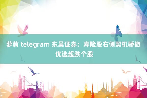 萝莉 telegram 东吴证券：寿险股右侧契机骄傲 优选超跌个股