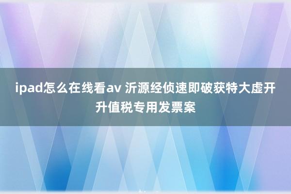 ipad怎么在线看av 沂源经侦速即破获特大虚开升值税专用发票案