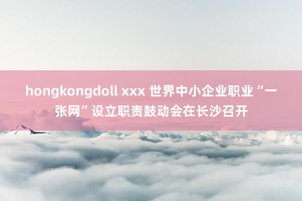 hongkongdoll xxx 世界中小企业职业“一张网”设立职责鼓动会在长沙召开