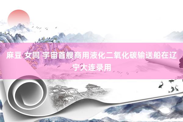 麻豆 女同 宇宙首艘商用液化二氧化碳输送船在辽宁大连录用
