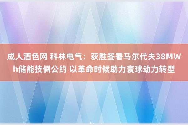 成人酒色网 科林电气：获胜签署马尔代夫38MWh储能技俩公约 以革命时候助力寰球动力转型